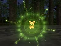 Pokemon XD, capture d'écran